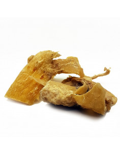 Nervo nucale essiccato