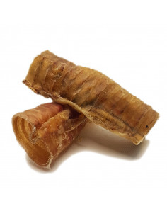 Trachea bovina essiccata