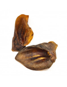 Orecchie di cinghiale - 10 pezzi